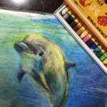 サクラクレパスでイルカを描く。「クレパス」とは、サクラクレパス社の”商標登録”つまり、商品名です。 一般名称は「オイルパステル」です。 サクラクレパスでイルカを描く