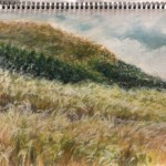 箱根仙石原すすき草原(ソフトパステル使用) 箱根仙石原すすき草原(ソフトパステル)